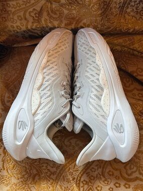 STEPH CURRY 11 team basketball shoes